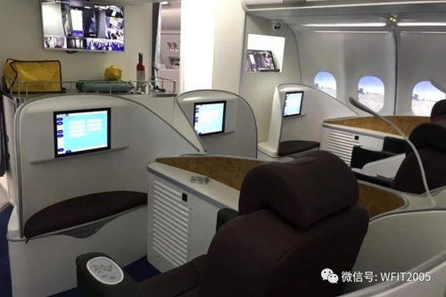 匠心筑夢，翱翔未來——濰理工航空服務與酒店管理學院2024招生季